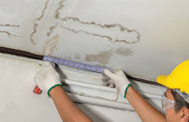 Reliable Water Damage contractor in Macomb, MI by Water Damage Irwin